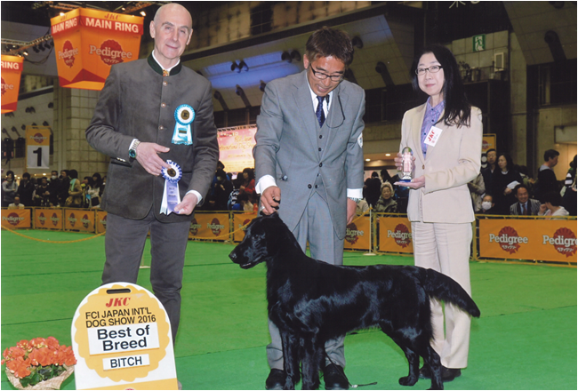 千葉西ニューオールブリード愛犬クラブ展